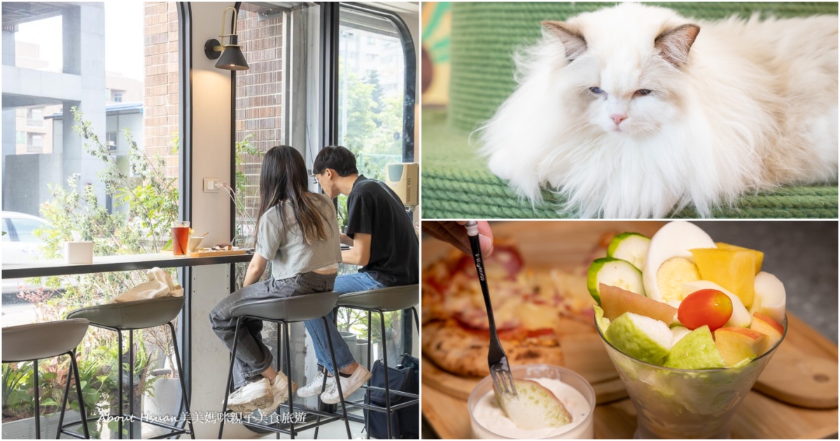 林口寵物咖啡廳 貓裡居 有好多可愛的貓咪陪你喝咖啡還有貓咪旅館可以住宿 @About Hsuan美美媽咪親子美食旅遊