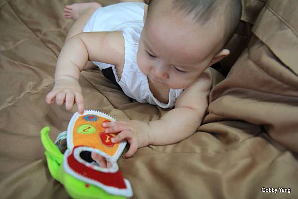 妹妹的啟蒙玩具-Lilliputiens力力布丁safari鱷魚手機 @About Hsuan美美媽咪親子美食旅遊