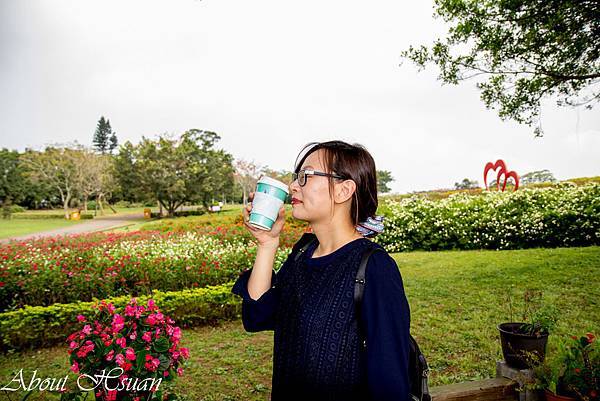 桃園大溪-大溪花海農場享受寧靜的清新氛圍 @About Hsuan美美媽咪親子美食旅遊