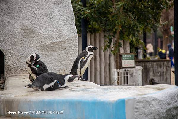 上野親子景點 上野動物園 動物都好近 孩子看得好開心 @About Hsuan美美媽咪親子美食旅遊