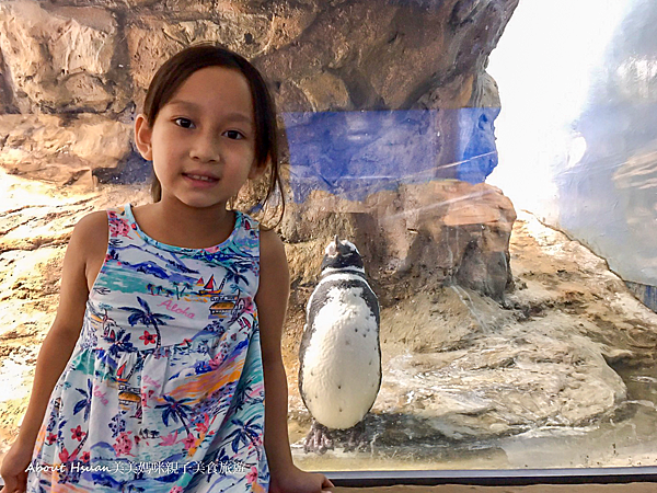 桃園青埔最新親子景點 XPARK水族館 2020/8/7正式開幕 8/8實際看過之後的評價分享 @About Hsuan美美媽咪親子美食旅遊